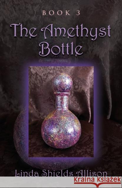 The Amethyst Bottle Linda Shields Allison 9781647184872 Booklocker.com