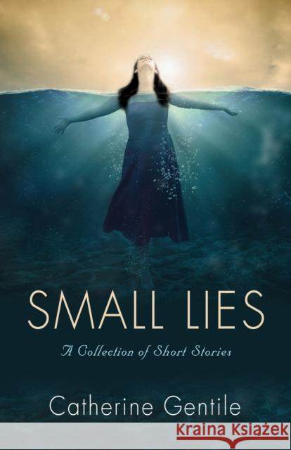 Small Lies: A Collection of Short Stories Catherine Gentile 9781647185763