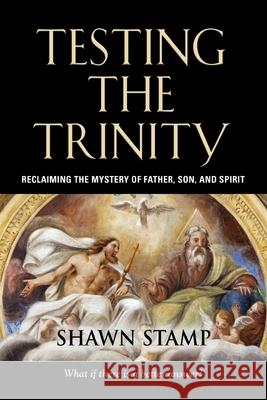 Testing the Trinity: Reclaiming the Mystery of Father, Son, and Spirit Shawn Stamp 9781647192099