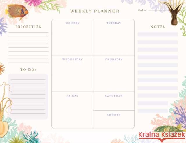 Art of Nature: Under the Sea Weekly Planner Notepad Insight Editions 9781647223939 Insight Editions