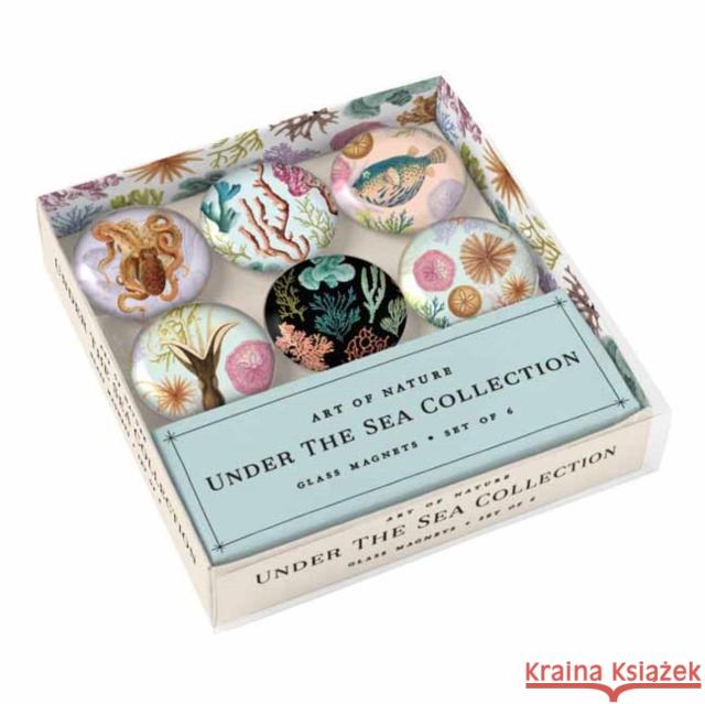 Art of Nature: Under the Sea Glass Magnet Set Insight Editions 9781647225759 Insight Editions