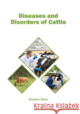 Diseases and Disorders of Cattle Eleanor Clark 9781647400750