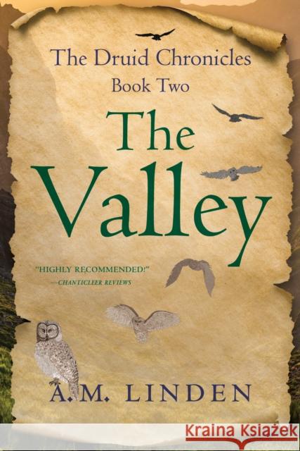 The Valley: The Druid Chronicles, Book Two A. M. Linden 9781647424091 She Writes Press