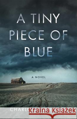 A Tiny Piece of Blue Charlotte Whitney 9781647428365 She Writes Press