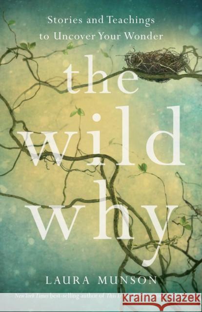 The Wild Why: Returning to Your Wonder Laura Munson 9781647428389 She Writes Press