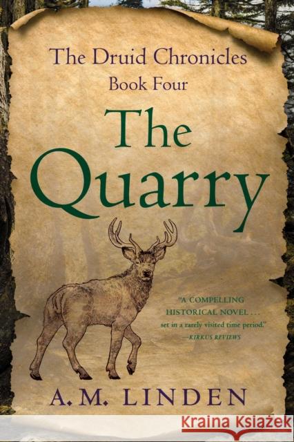The Quarry: The Druid Chronicles, Book Four A.M. Linden 9781647429706 She Writes Press