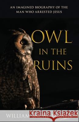 Owl in the Ruins: An Imagined Biography of the Man Who Arrested Jesus William Bache Brown 9781647463038