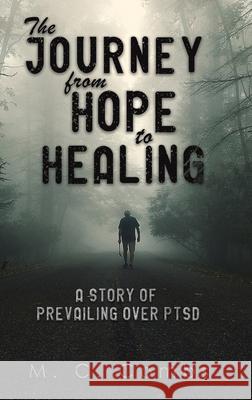 The Journey from Hope to Healing M C Combs 9781647509132 Austin Macauley Publishers LLC