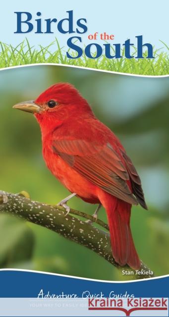 Birds of the South: Your Way to Easily Identify Backyard Birds Tekiela, Stan 9781647550318 Adventure Publications