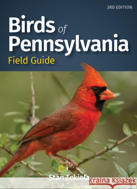Birds of Pennsylvania Field Guide Stan Tekiela 9781647550882 Adventure Publications