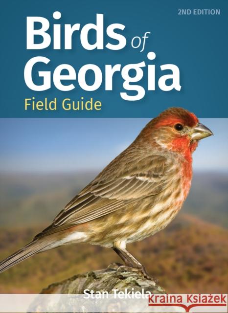 Birds of Georgia Field Guide Stan Tekiela 9781647552008 Adventure Publications, Incorporated