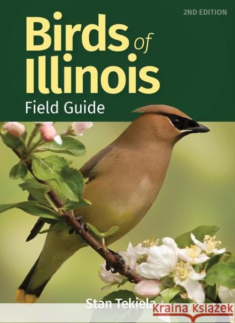 Birds of Illinois Field Guide Stan Tekiela 9781647552374 Adventure Publications