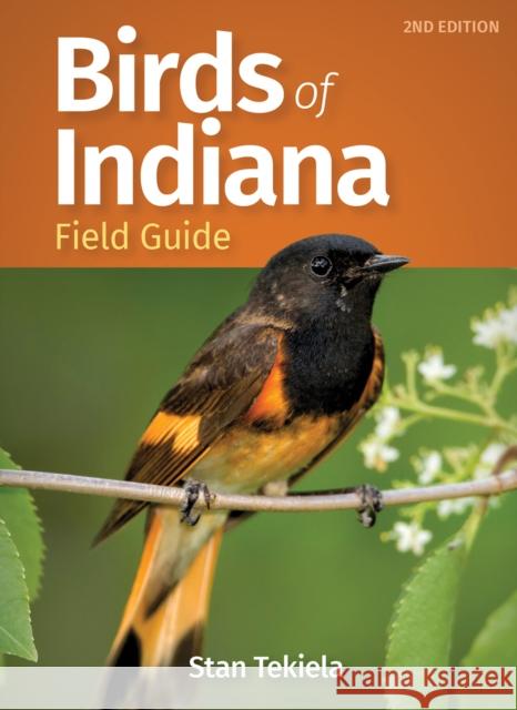 Birds of Indiana Field Guide Stan Tekiela 9781647552398 Adventure Publications