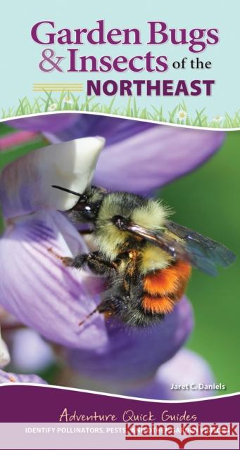 Garden Bugs & Insects of the Northeast: Identify Pollinators, Pests, and Other Garden Visitors Jaret C. Daniels 9781647552442 Adventure Publications