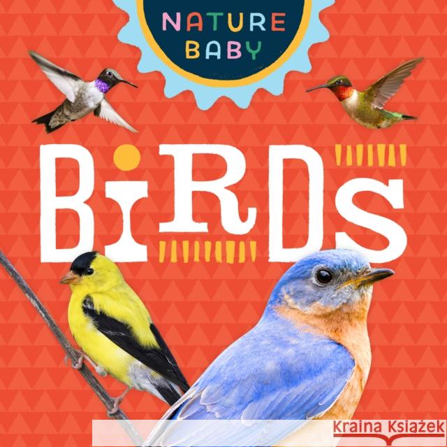 Nature Baby: Birds Adventure Publications 9781647552572 Adventure Publications