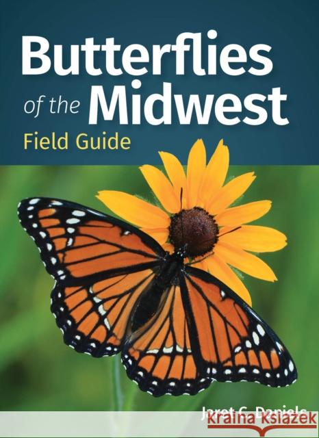 Butterflies of the Midwest Field Guide Jaret C. Daniels 9781647552855 Adventure Publications