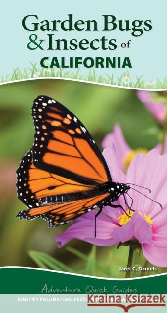 Garden Bugs & Insects of California: Identify Pollinators, Pests, and Other Garden Visitors Jaret C. Daniels 9781647552947 Adventure Publications