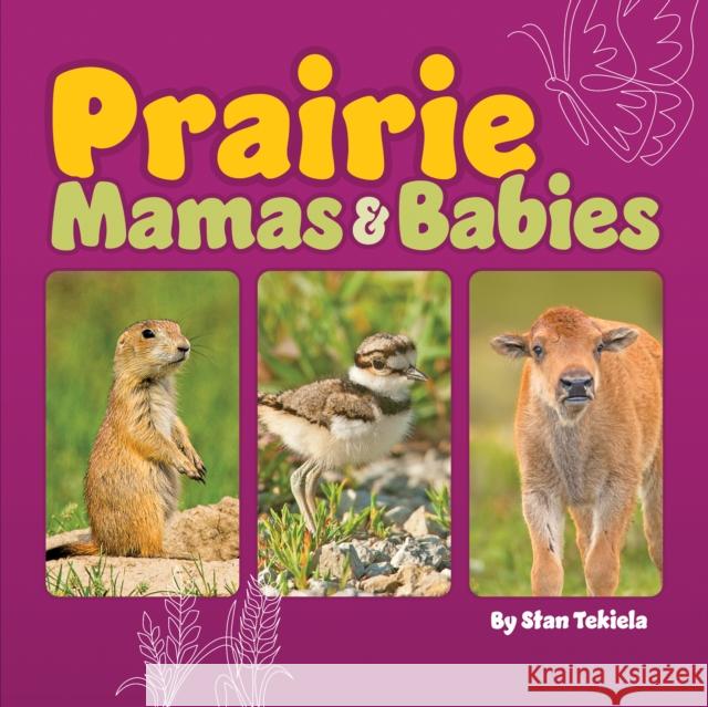 Prairie Mamas and Babies Stan Tekiela 9781647553555 Adventure Publications, Incorporated