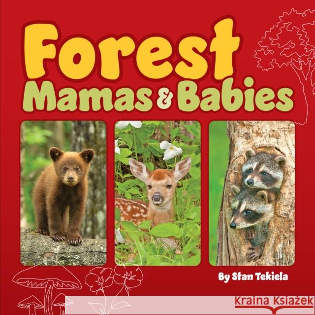 Forest Mamas and Babies Stan Tekiela 9781647553579 Adventure Publications