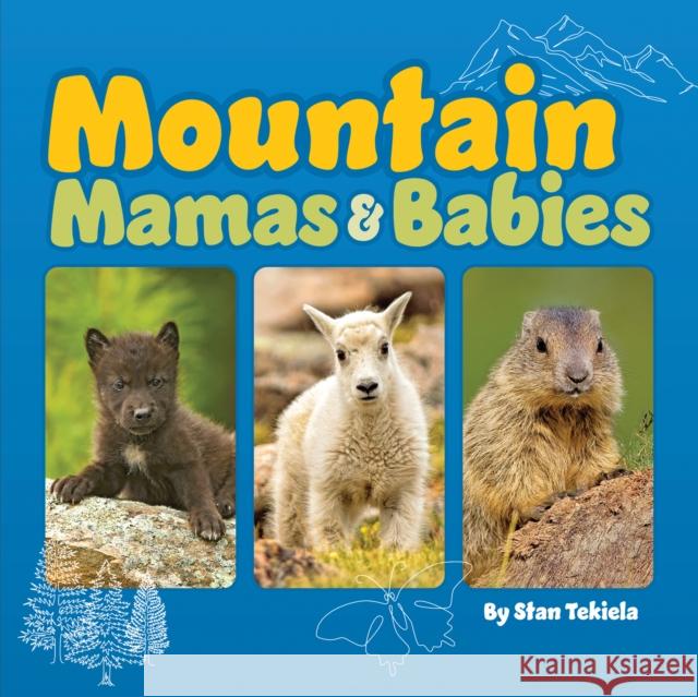 Mountain Mamas and Babies Stan Tekiela 9781647553593 Adventure Publications