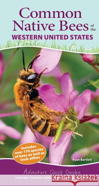 Common Native Bees of the Western United States: Your Way to Easily Identify Bees and Look-Alikes Ryan Bartlett 9781647553630