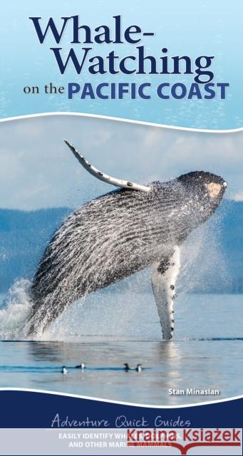 Whale Watching on the Pacific Coast: Easily Identify Whales, Dolphins, and Other Marine Mammals Stan Minasian 9781647554002 Adventure Publications