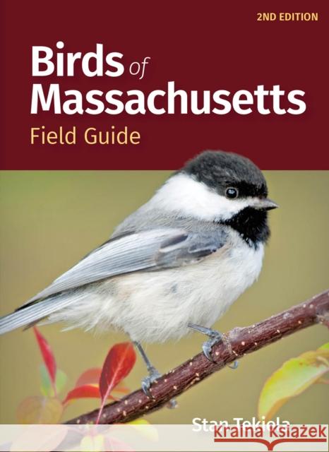 Birds of Massachusetts Field Guide Stan Tekiela 9781647554033 Adventure Publications