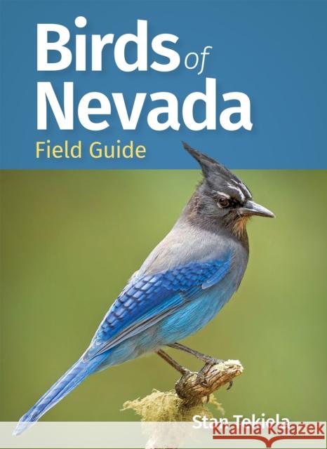 Birds of Nevada Field Guide Stan Tekiela 9781647554217 Adventure Publications