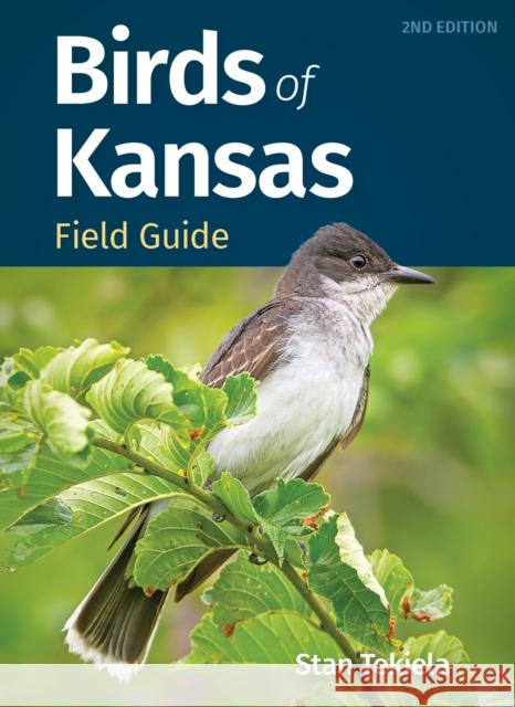 Birds of Kansas Field Guide Stan Tekiela 9781647554491 Adventure Publications