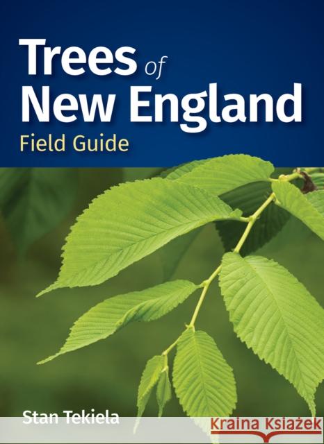 Trees of New England Field Guide Stan Tekiela 9781647554538 Adventure Publications