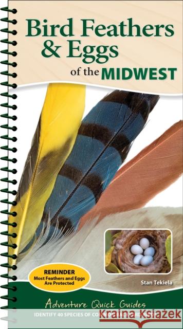 Bird Feathers & Eggs of the Midwest: Identify 40 Species of Common Backyard Birds Stan Tekiela 9781647555061 Adventure Publications