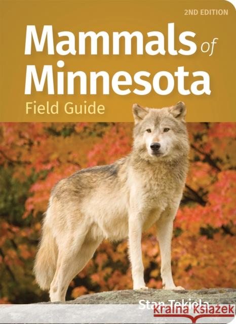 Mammals of Minnesota Field Guide Stan Tekiela 9781647555160 Adventure Publications