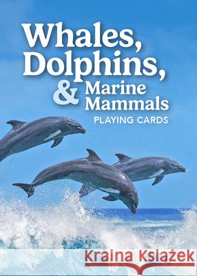 Whales, Dolphins, and Marine Mammals Playing Cards Stan Minasian 9781647555344 Adventure Publications