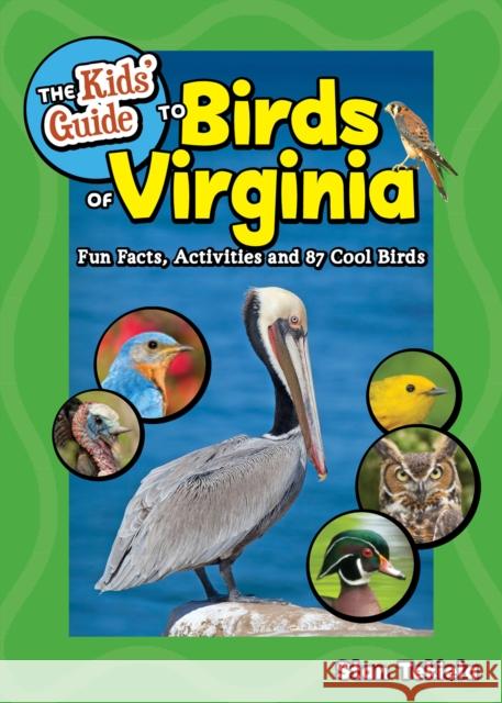 Kids' Guide to Birds of Virginia: Fun Facts, Activities and 86 Cool Birds Stan Tekiela 9781647555887 Adventure Publications