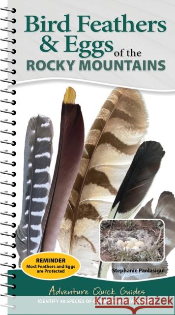 Bird Feathers & Eggs of the Rocky Mountains: Identify 40 Species of Common Backyard Birds Stephanie Panlasigui 9781647556655 Adventure Publications