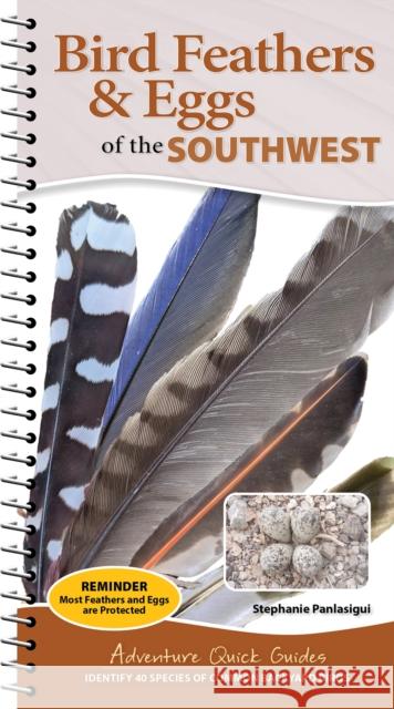 Bird Feathers & Eggs of the Southwest: Identify 40 Species of Common Backyard Birds Stephanie Panlasigui 9781647556679 Adventure Publications