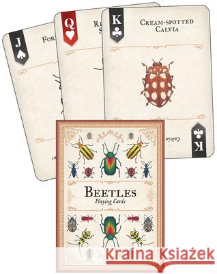 Beetles Playing Cards Mel Bry 9781647556778 Adventure Publications