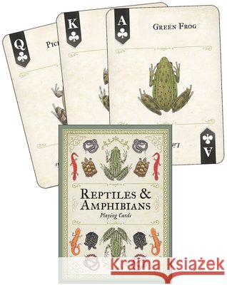 Reptiles & Amphibians Playing Cards Mel Bry 9781647556792 Adventure Publications