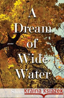 A Dream of Wide Water Sharon Whitehill 9781647647087 Atmosphere Press