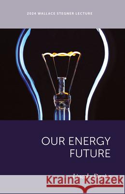 Our Energy Future Lincoln Davies Robert B. Keiter 9781647692452 University of Utah Press