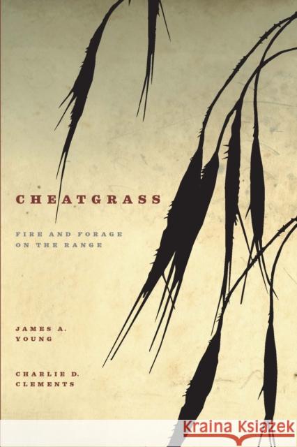 Cheatgrass: Fire and Forage on the Range Sally Zanjani 9781647790707 University of Nevada Press