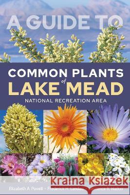 A Guide to Common Plants of Lake Mead National Recreation Area Elizabeth A. Powell Frederick H. Landau Lawrence R. Walker 9781647790981 University of Nevada Press