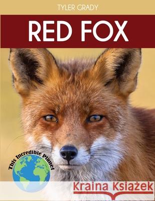 Red Fox: Fascinating Animal Facts for Kids Tyler Grady 9781647900984 Dylanna Publishing, Inc.