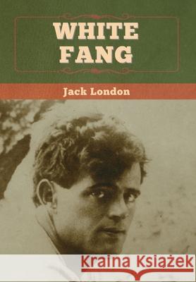 White Fang Jack London 9781647994310