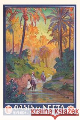 Vintage Journal Nefta Oasis, Tunisia, Travel Poster Found Image Press 9781648112263 Found Image Press