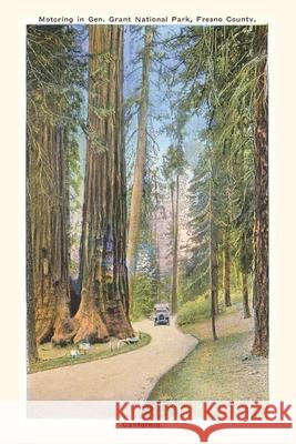 The Vintage Journal Grant Park, Fresno County, California Found Image Press 9781648115004 Found Image Press