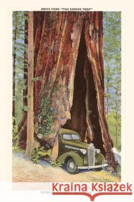 The Vintage Journal Car Driving through Redwood, California Found Image Press 9781648115349 Found Image Press