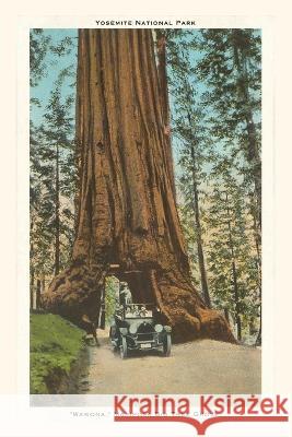 The Vintage Journal Wawona, Mariposa Big Tree Grove, Yosemite, California Found Image Press 9781648115905 Found Image Press