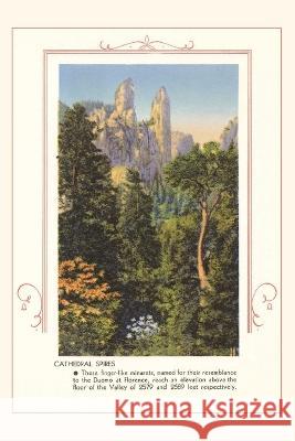 The Vintage Journal Cathedral Spires, Yosemite, California Found Image Press 9781648115929 Found Image Press