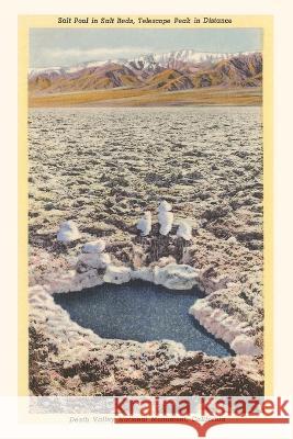 The Vintage Journal Salt Pool, Death Valley Found Image Press 9781648116100 Found Image Press